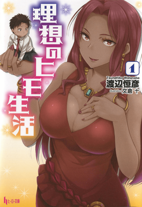 理想的小白脸生活