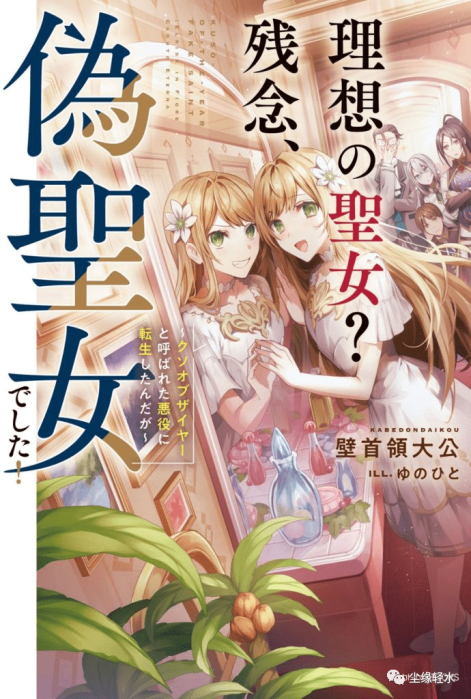 年度最垃圾伪圣女