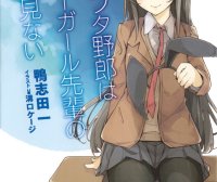 青春猪头少年系列