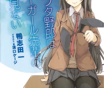 青春猪头少年系列