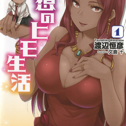 理想的小白脸生活