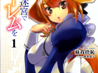 在异世界迷宫开后宫