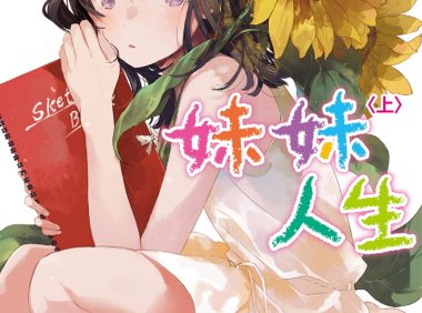 妹妹人生-妹系小说天花板