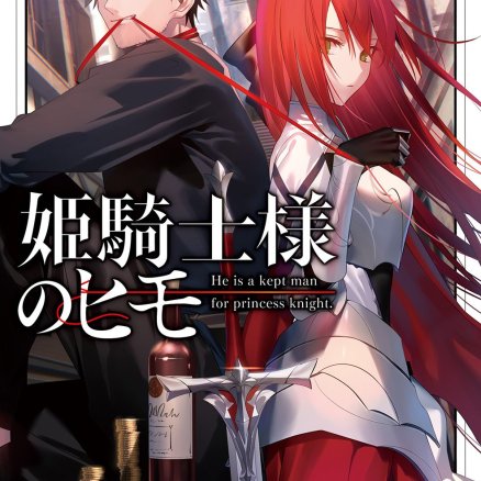 姬骑士大人的情夫