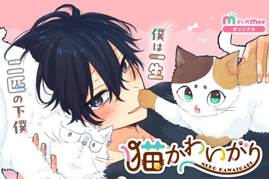 猫奴男主的日常！《宠爱猫咪》开始连载